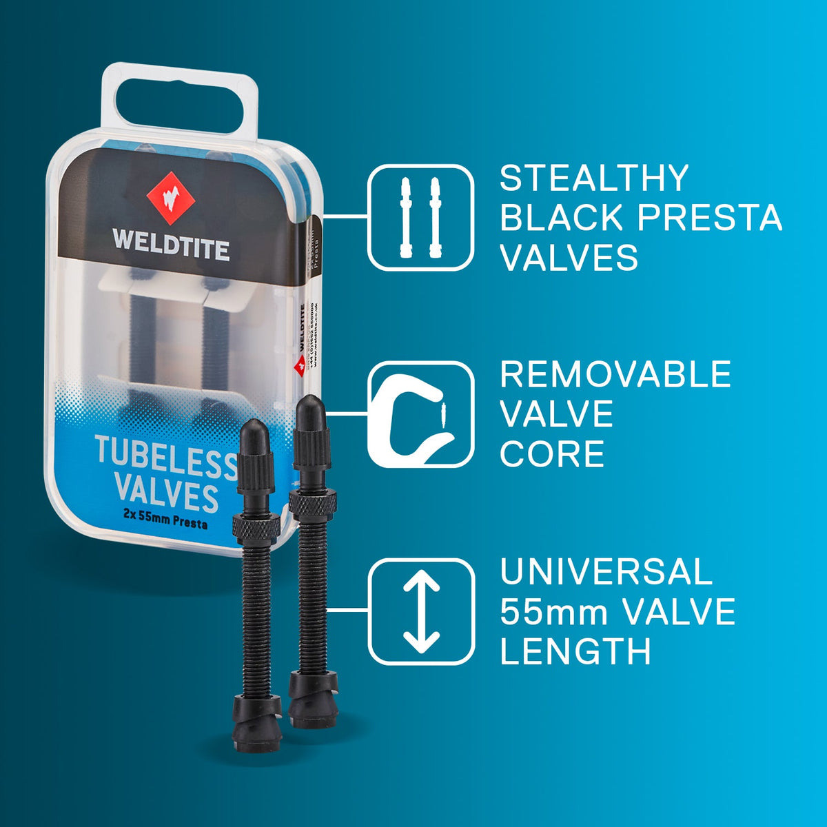 Tubeless Valve Kit (2 x 55mm Presta)